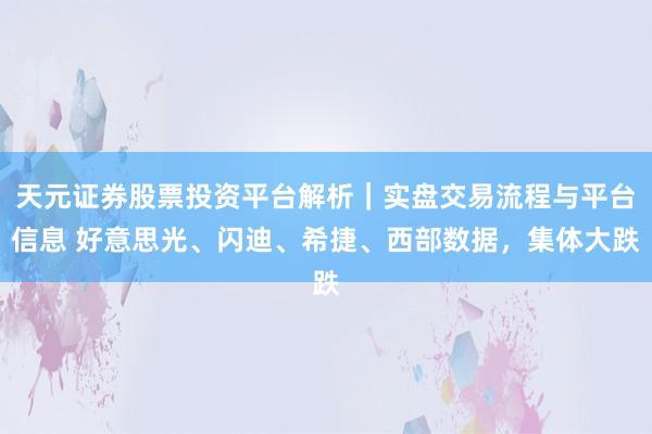 天元证券股票投资平台解析｜实盘交易流程与平台信息 好意思光、闪迪、希捷、西部数据，集体大跌