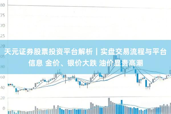 天元证券股票投资平台解析｜实盘交易流程与平台信息 金价、银价大跌 油价显贵高潮