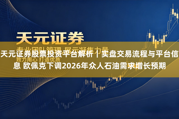 天元证券股票投资平台解析｜实盘交易流程与平台信息 欧佩克下调2026年众人石油需求增长预期