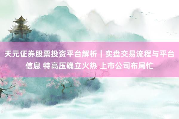 天元证券股票投资平台解析｜实盘交易流程与平台信息 特高压确立火热 上市公司布局忙