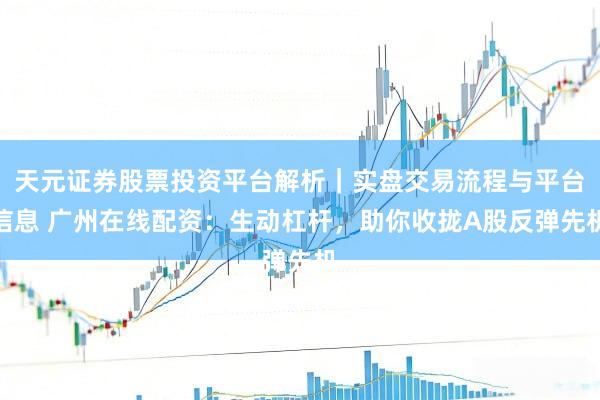 天元证券股票投资平台解析|实盘交易流程与平台信息 广州在线配资:生动杠杆,助你收拢A股反弹先机