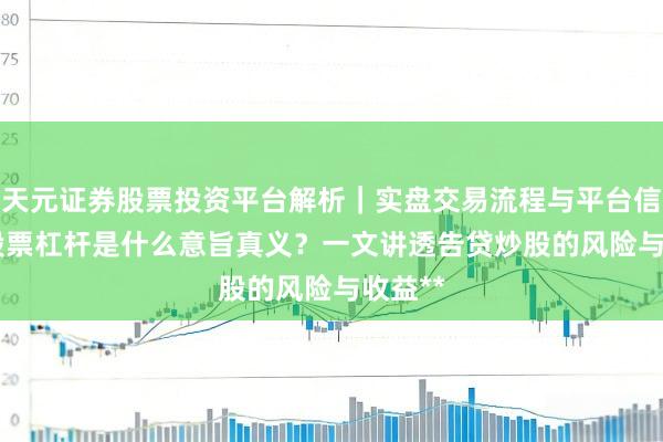天元证券股票投资平台解析｜实盘交易流程与平台信息 **股票杠杆是什么意旨真义？一文讲透告贷炒股的风险与收益**