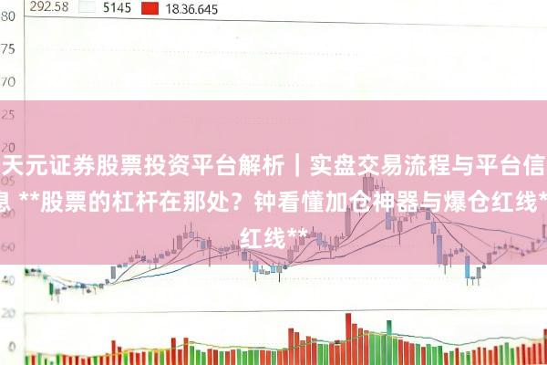 天元证券股票投资平台解析｜实盘交易流程与平台信息 **股票的杠杆在那处？钟看懂加仓神器与爆仓红线**
