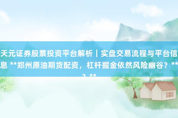 天元证券股票投资平台解析｜实盘交易流程与平台信息 **郑州原油期货配资，杠杆掘金依然风险幽谷？**